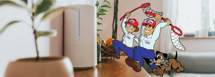 Expert Indoor Air Quality Services in Framingham, MA